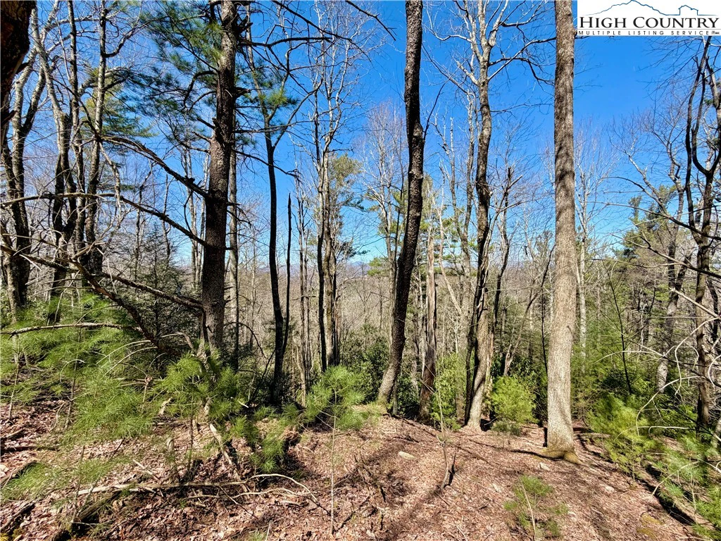 Image number 18 for the current listing