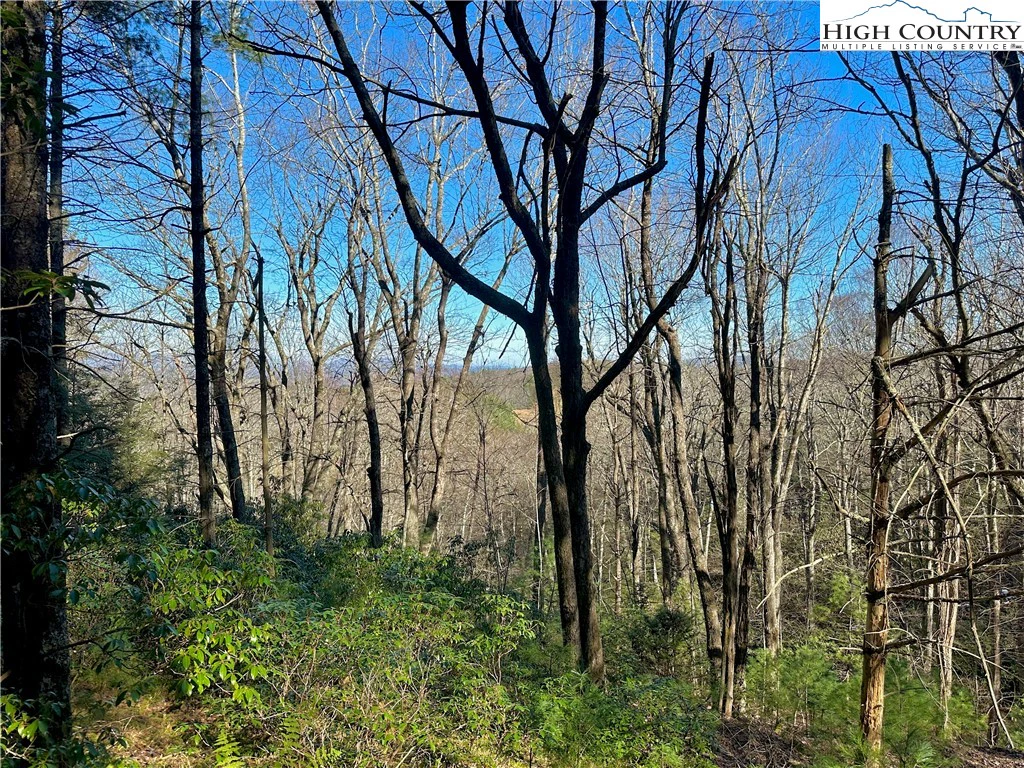 Image number 21 for the current listing