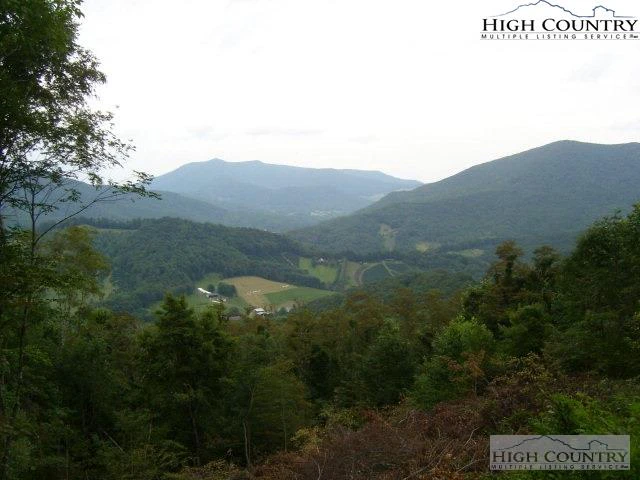 Image number 3 for the current listing