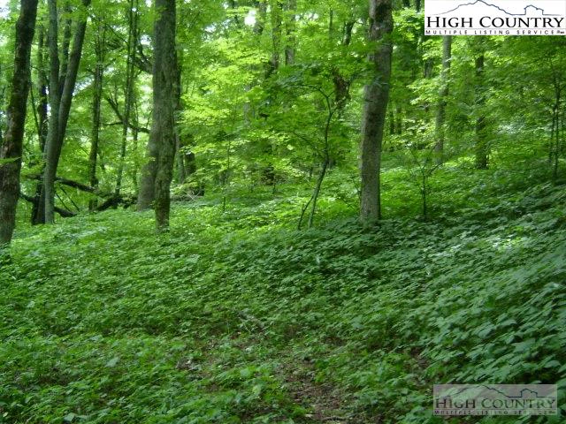 Image number 4 for the current listing