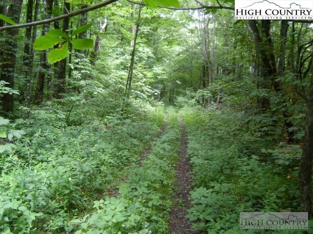 Image number 7 for the current listing