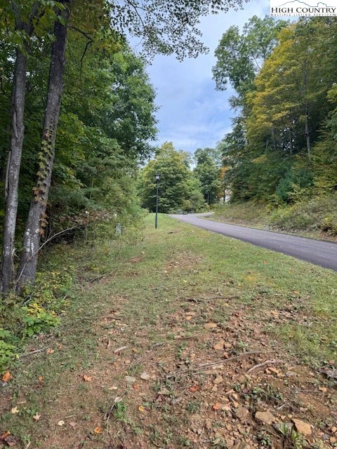 Image number 1 for the current listing