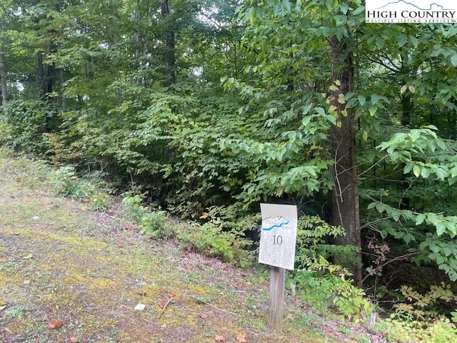 Image number 3 for the current listing