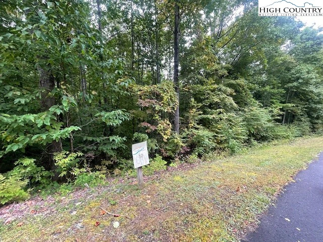 Image number 4 for the current listing