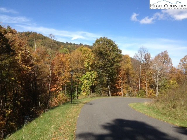 Image number 1 for the current listing