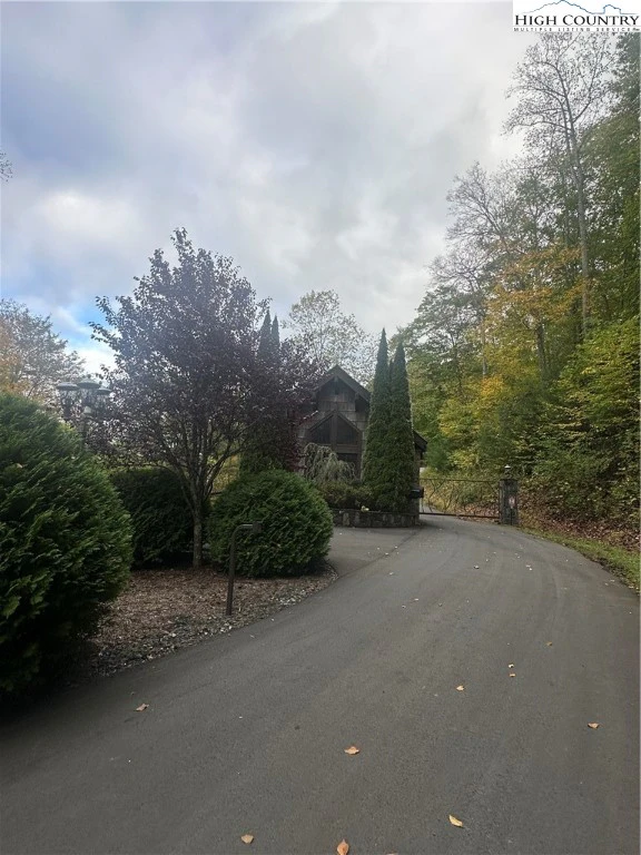Image number 14 for the current listing