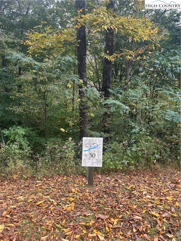Image number 12 for the current listing