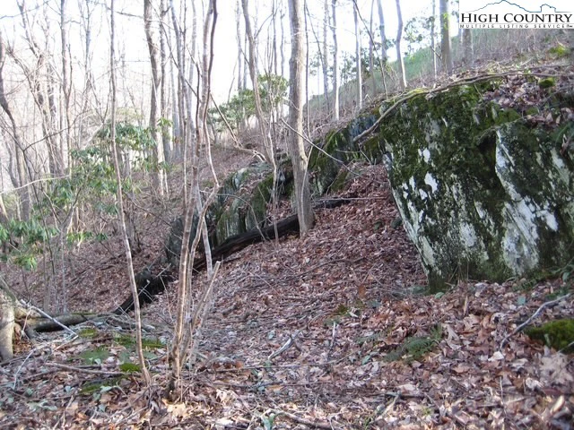Image number 10 for the current listing