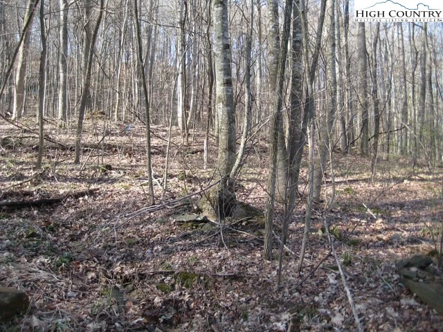 Image number 8 for the current listing