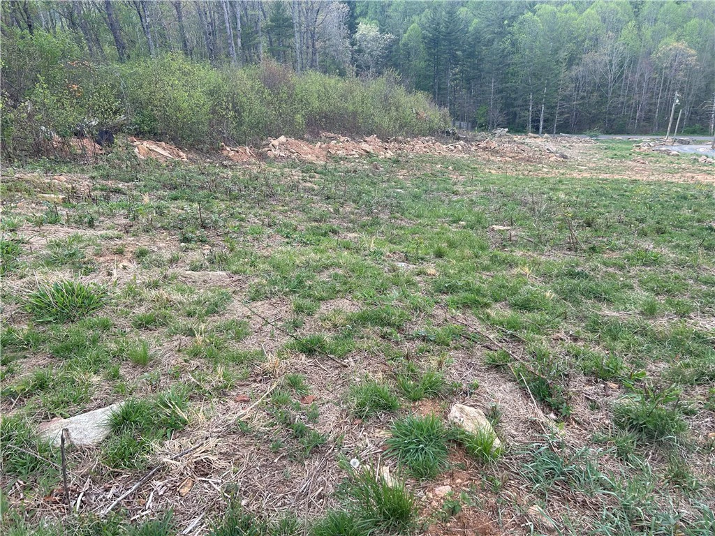 Image number 2 for the current listing