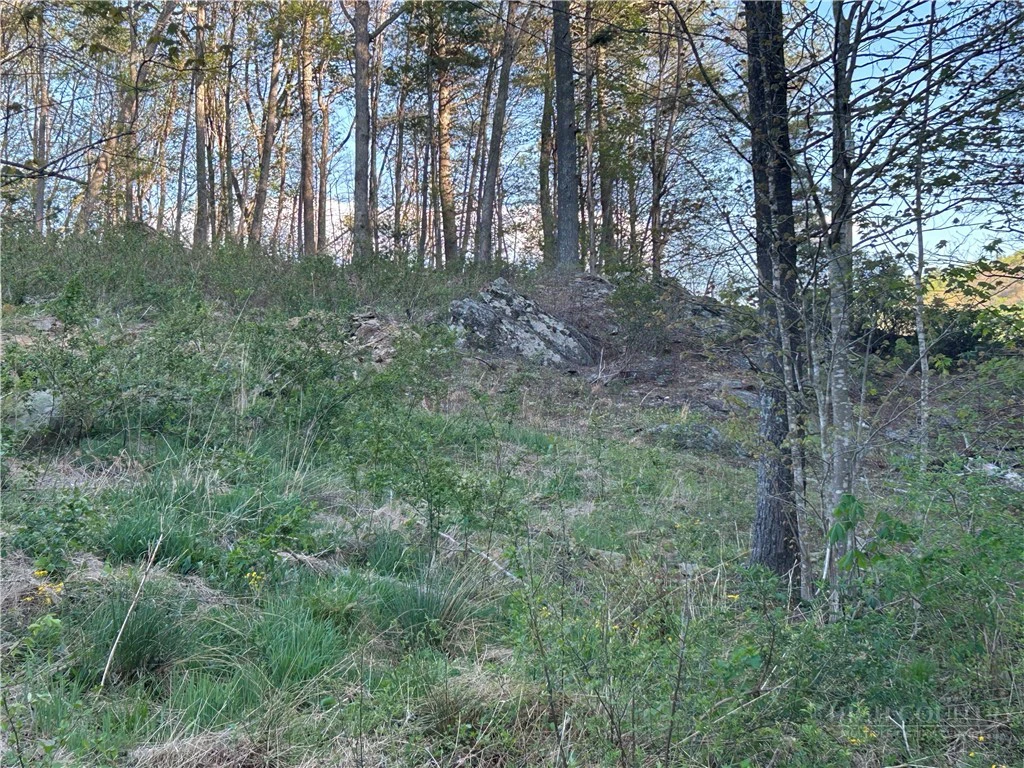 Image number 7 for the current listing
