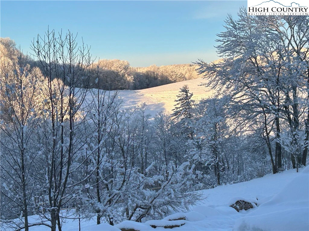 Image number 1 for the current listing