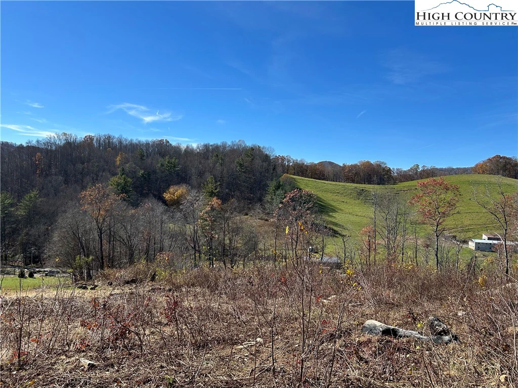 Image number 12 for the current listing