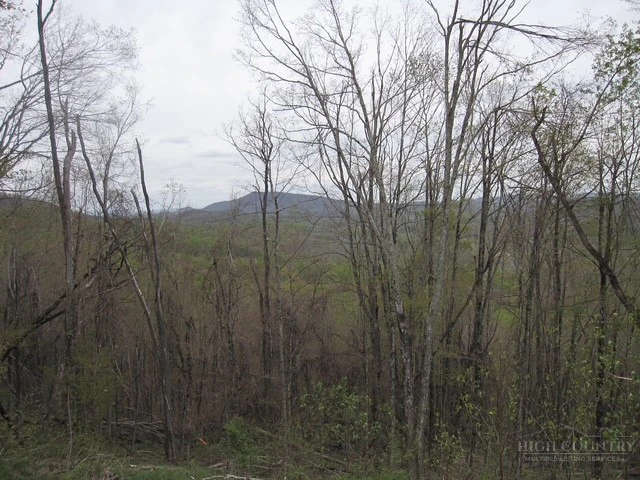 Image number 5 for the current listing