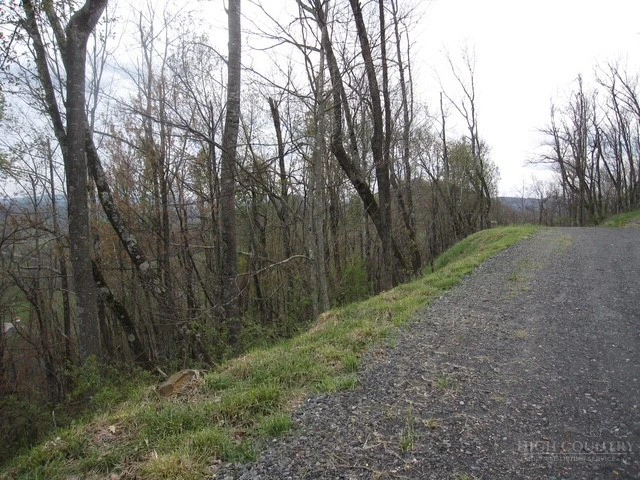 Image number 4 for the current listing
