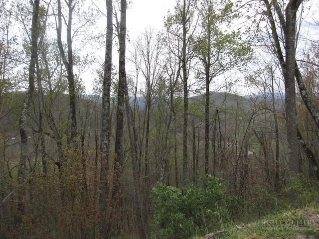 Image number 2 for the current listing