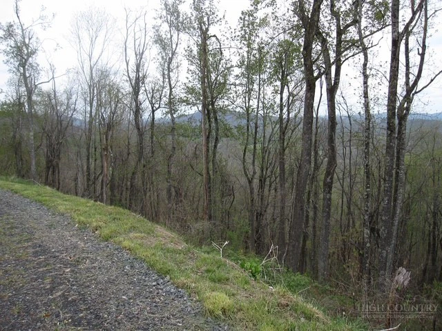 Image number 6 for the current listing