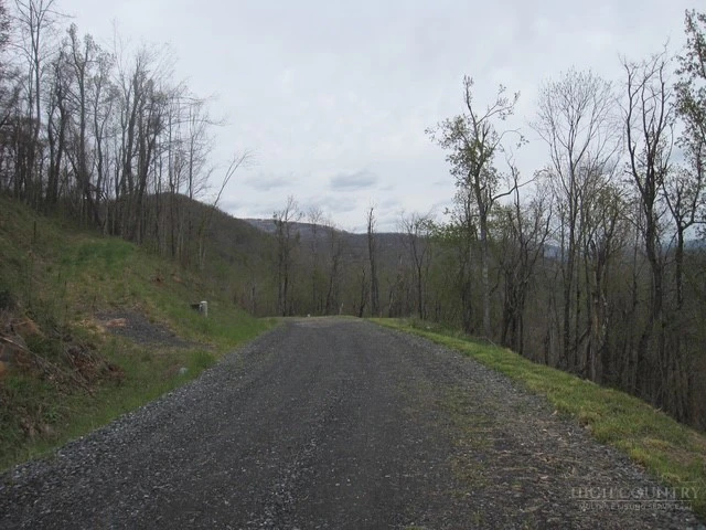 Image number 7 for the current listing