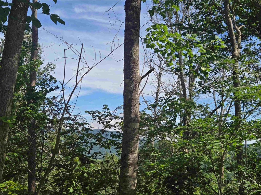 Image number 1 for the current listing
