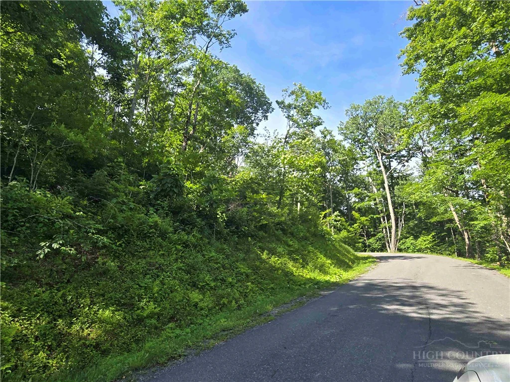 Image number 2 for the current listing