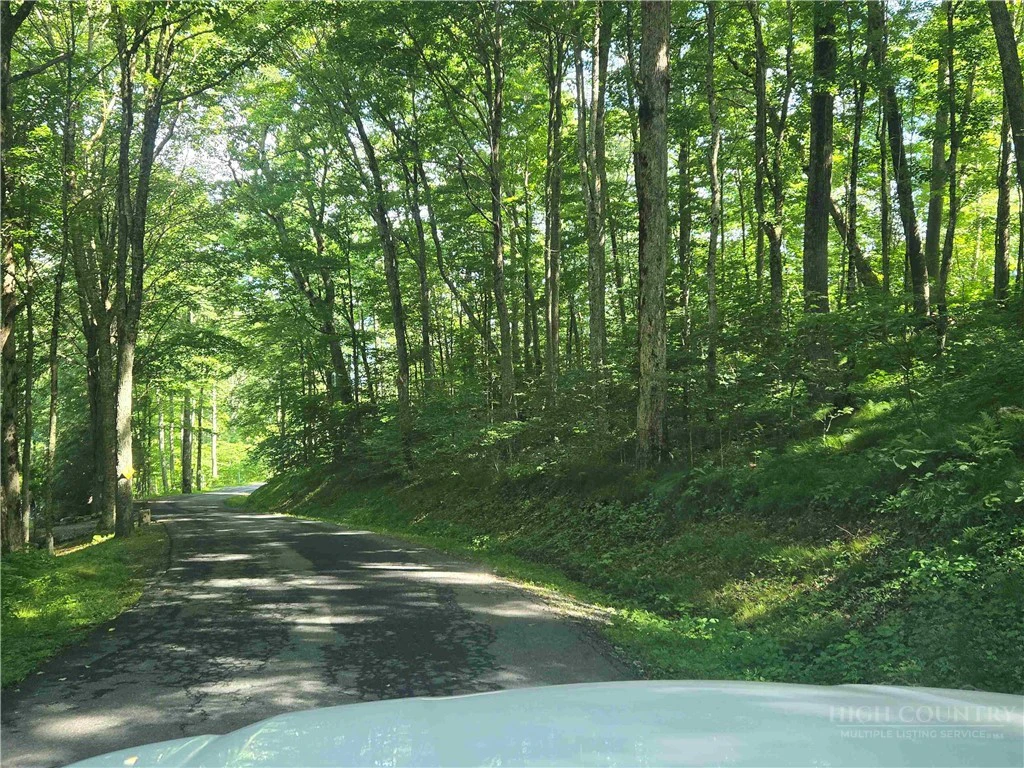 Image number 3 for the current listing