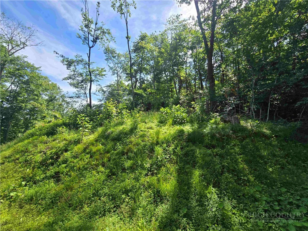 Image number 5 for the current listing