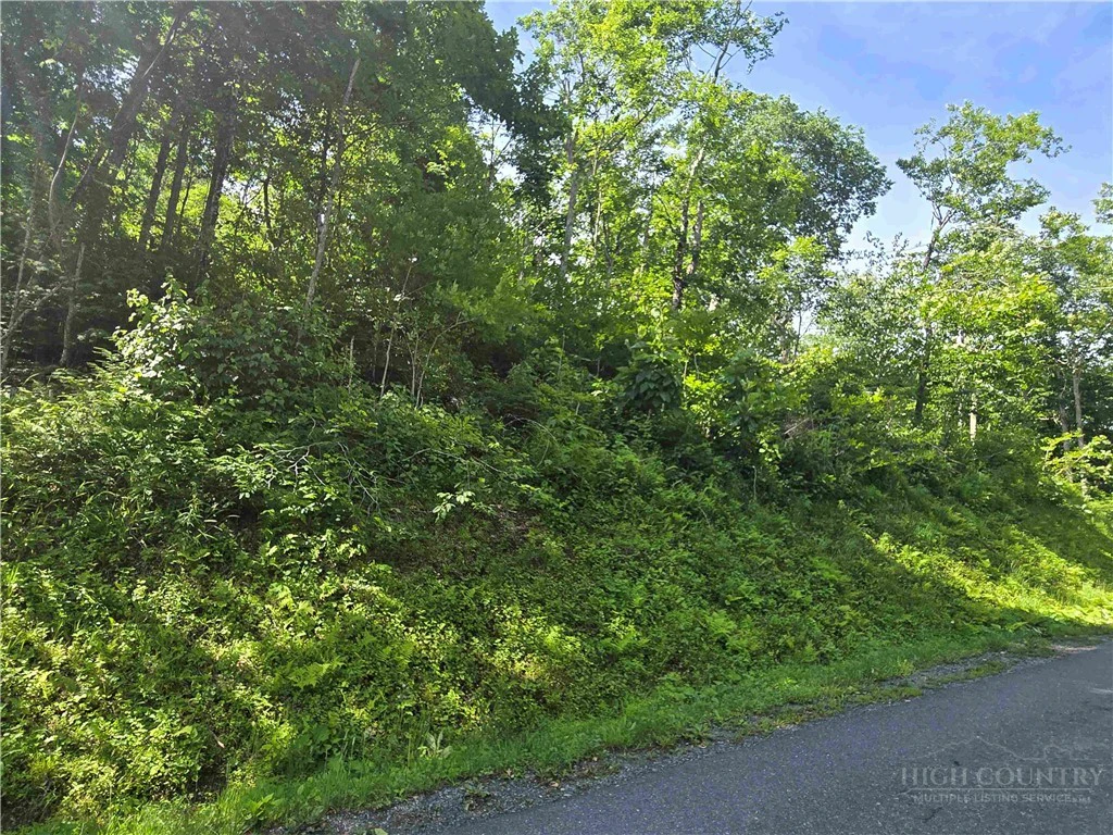 Image number 6 for the current listing