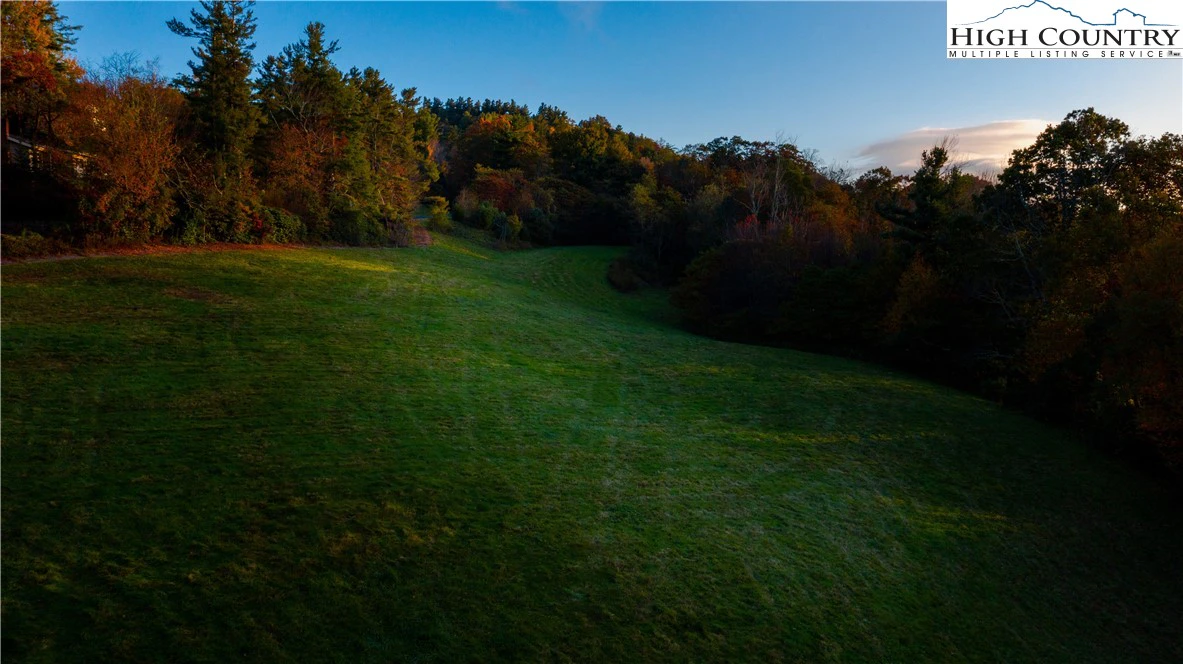 Image number 10 for the current listing