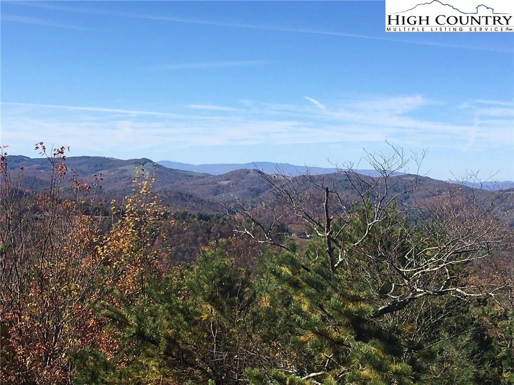 Image number 4 for the current listing