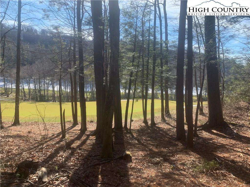 Image number 1 for the current listing