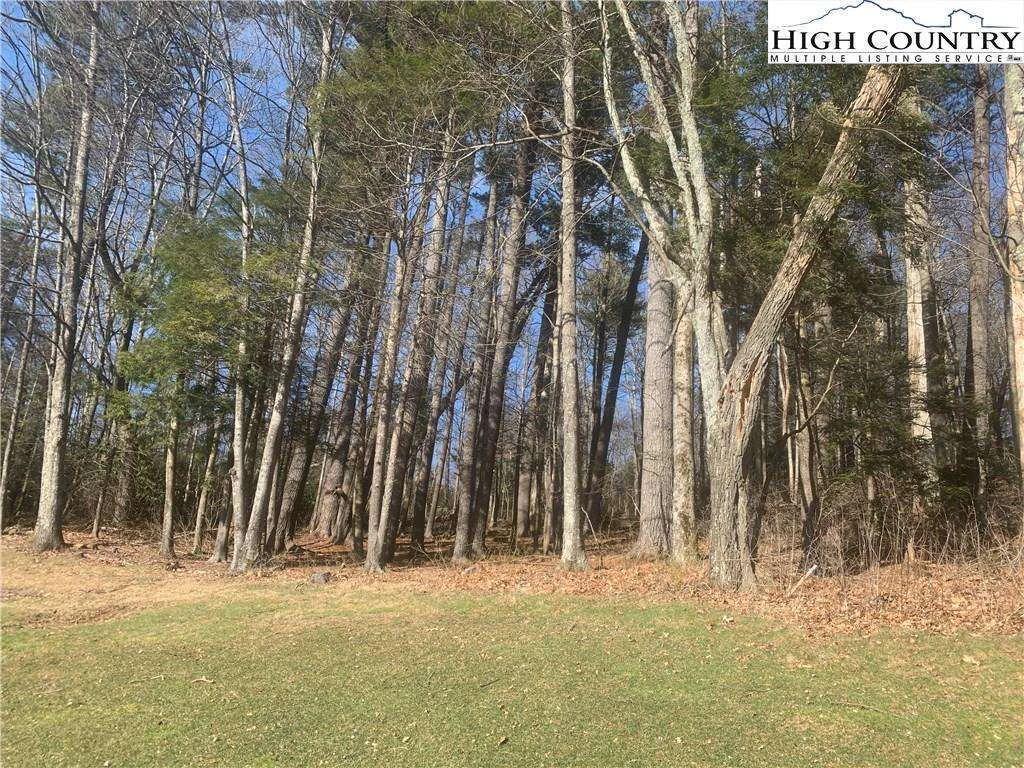 Image number 11 for the current listing