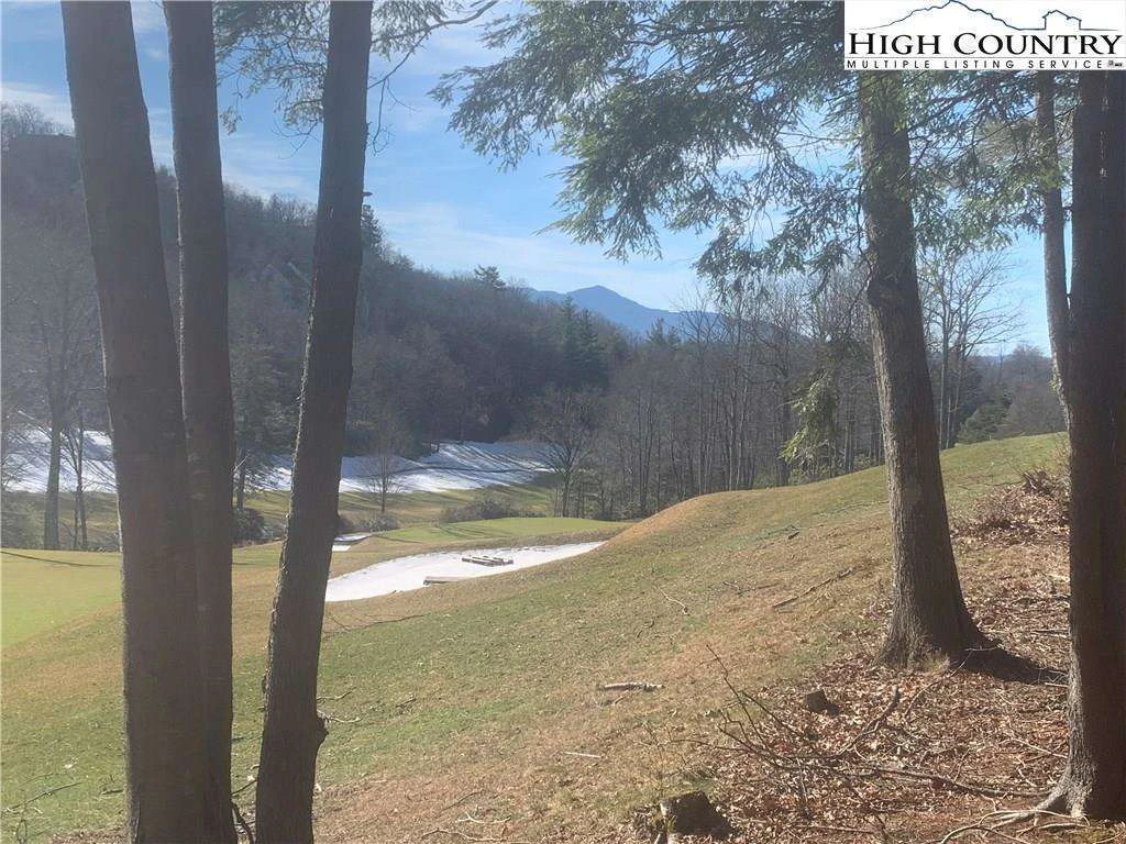 Image number 3 for the current listing