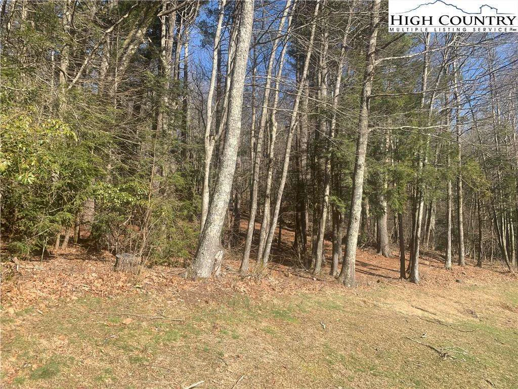 Image number 6 for the current listing