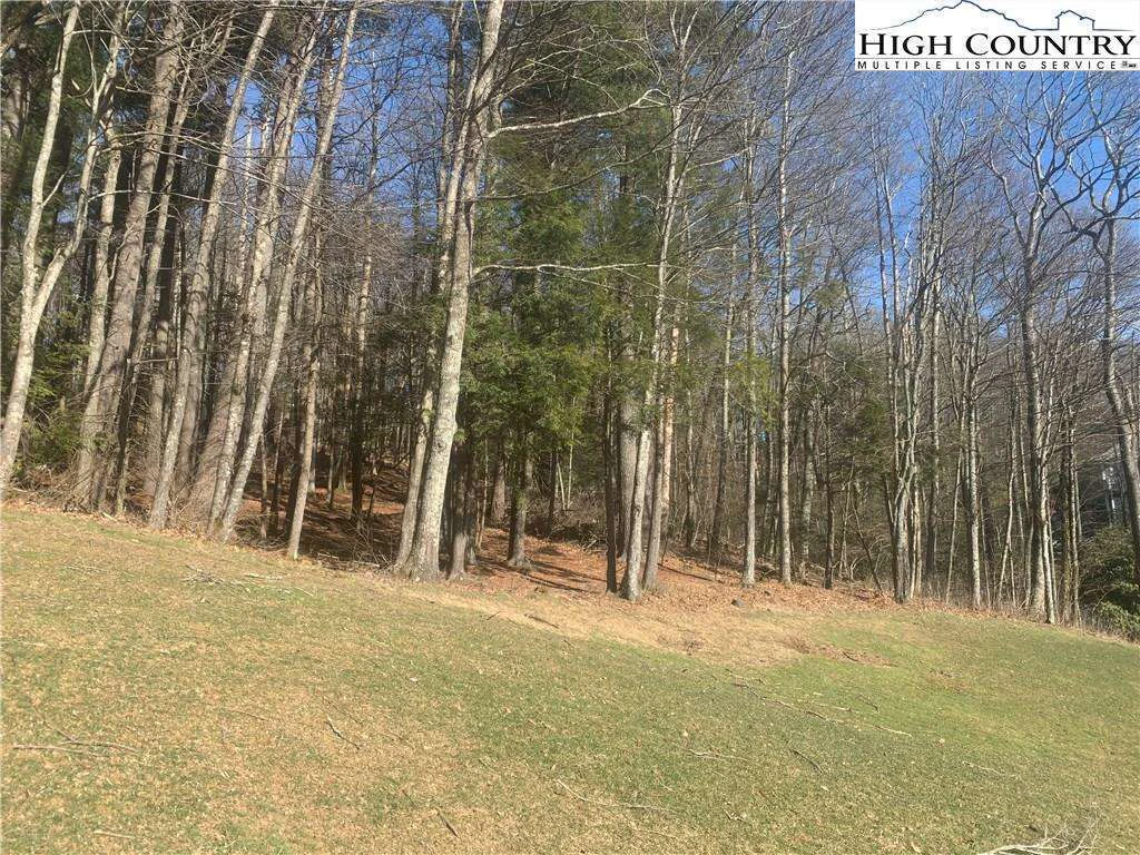 Image number 8 for the current listing