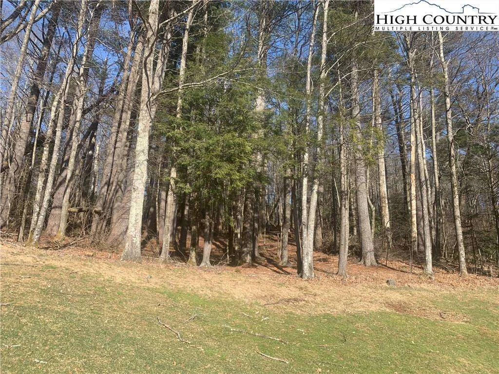 Image number 10 for the current listing