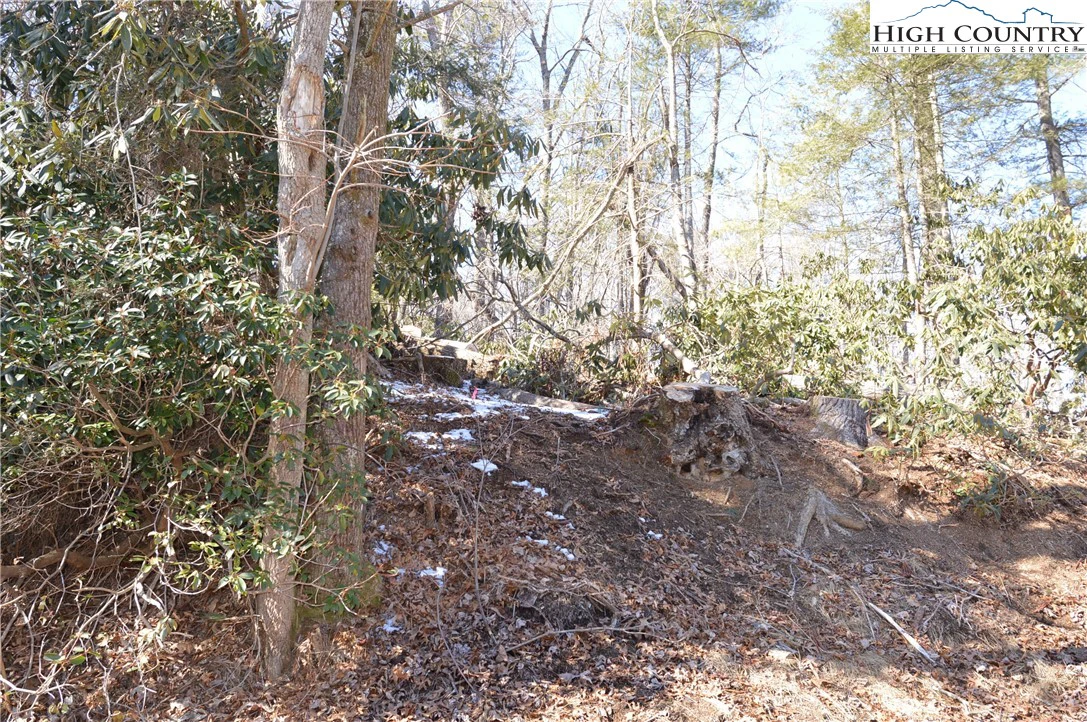Image number 17 for the current listing
