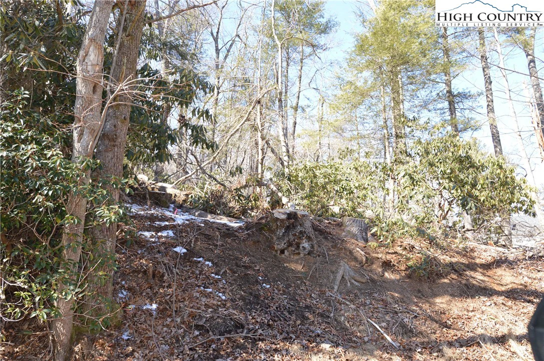 Image number 16 for the current listing