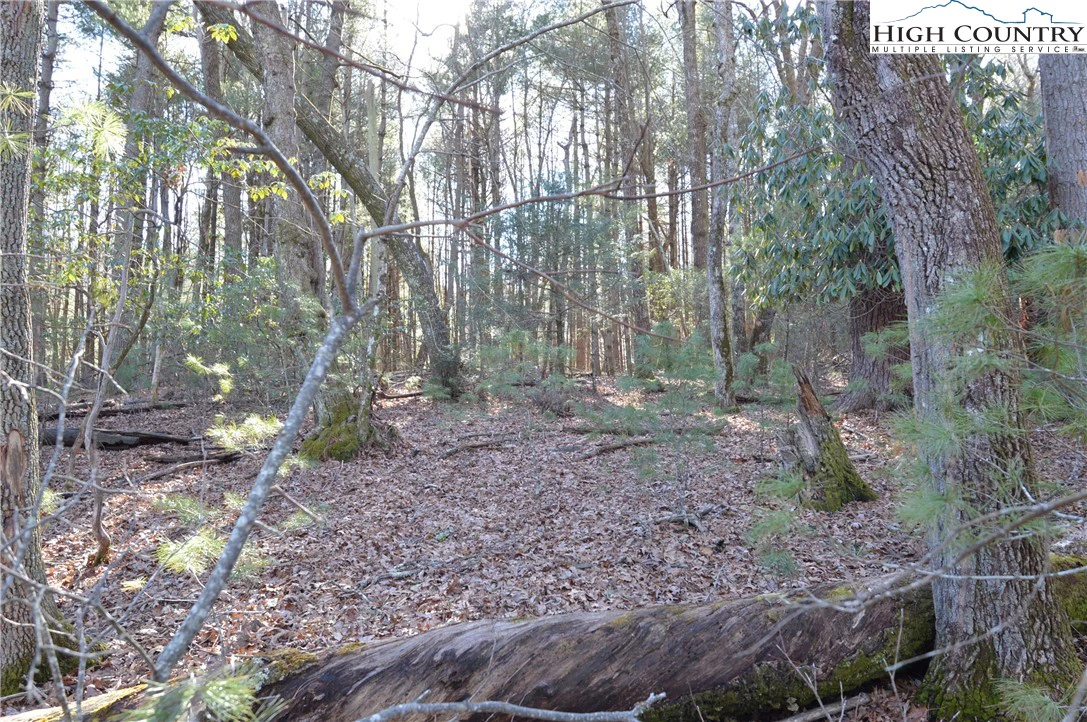 Image number 1 for the current listing