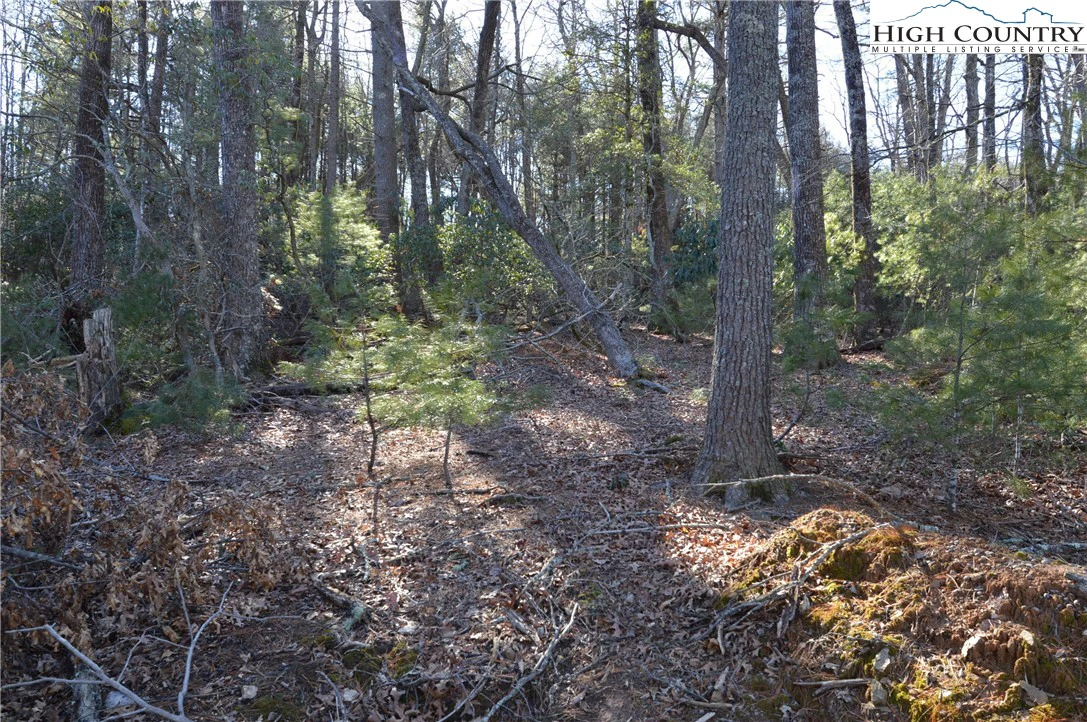 Image number 18 for the current listing