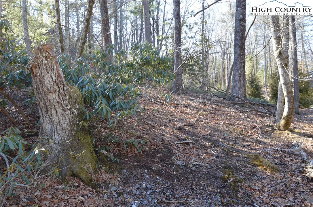 Image number 15 for the current listing