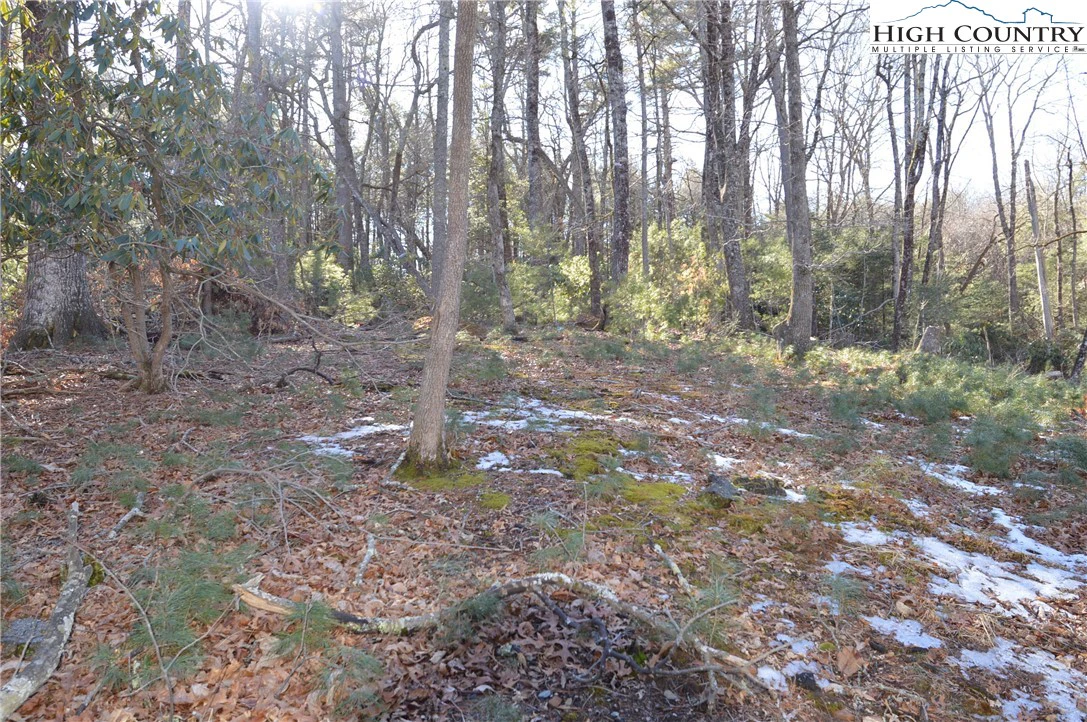 Image number 14 for the current listing