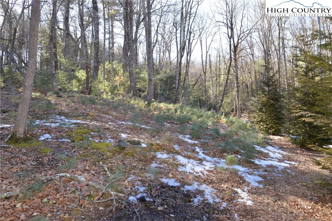 Image number 13 for the current listing