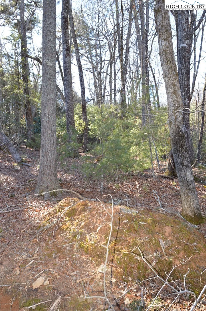Image number 12 for the current listing