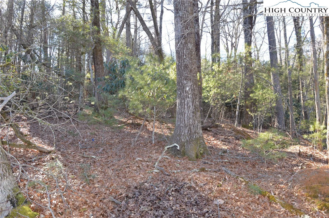 Image number 2 for the current listing