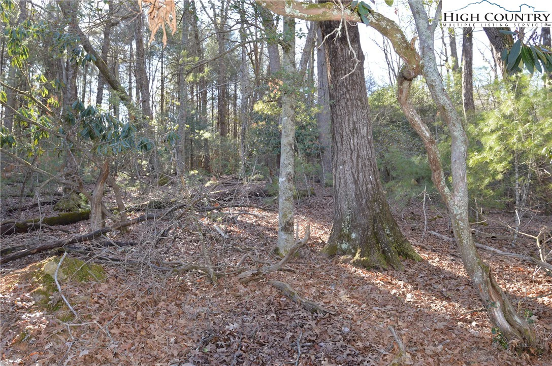 Image number 11 for the current listing