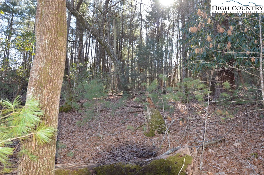 Image number 7 for the current listing