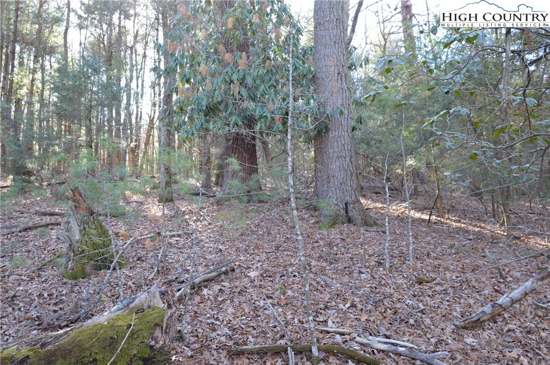 Image number 6 for the current listing