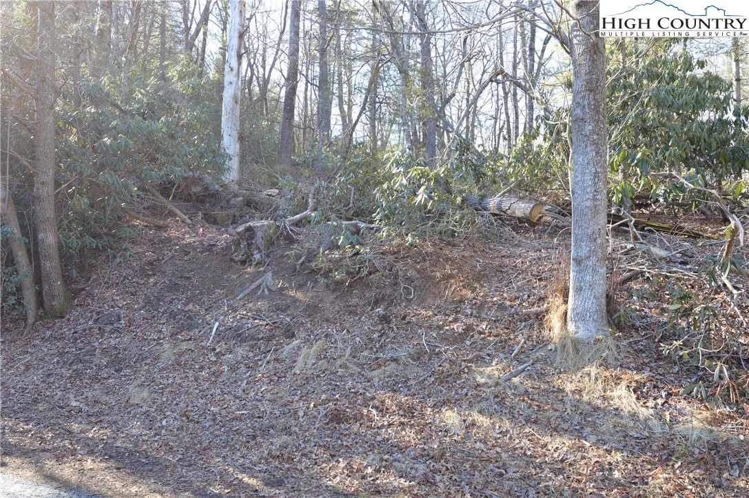 Image number 4 for the current listing