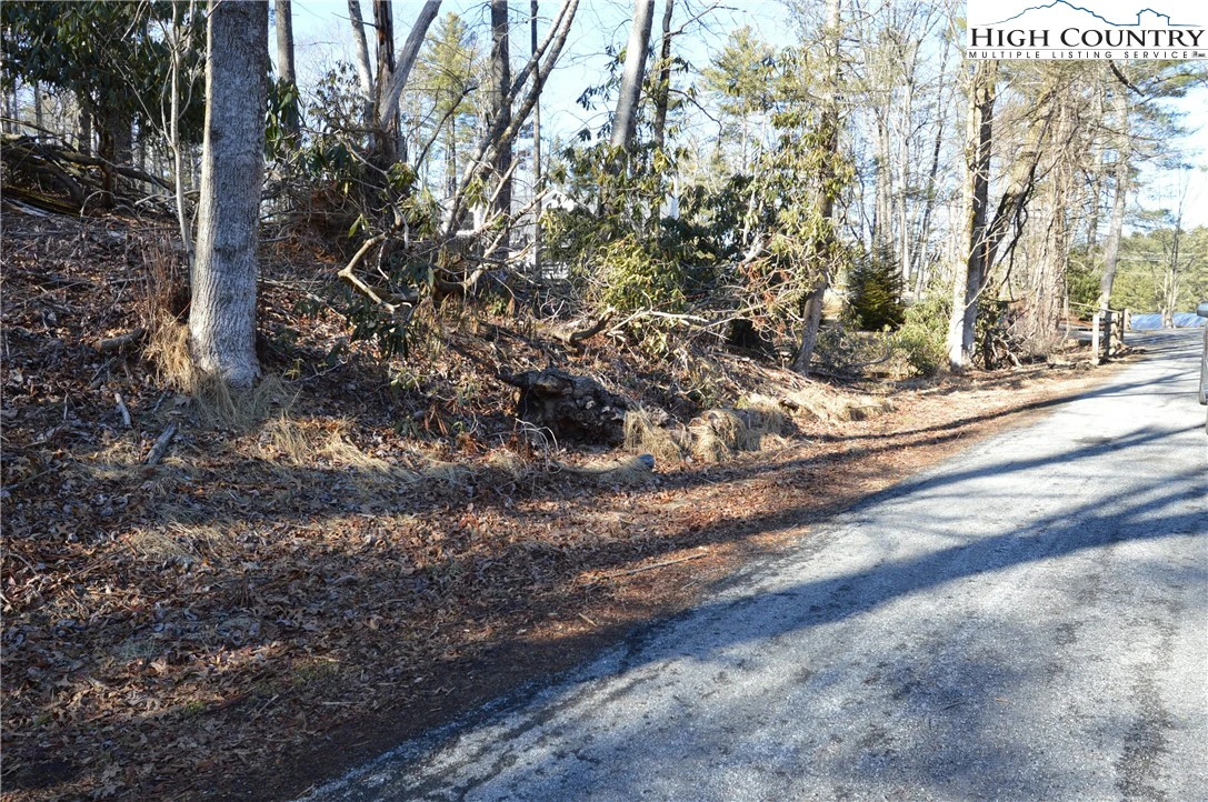 Image number 3 for the current listing