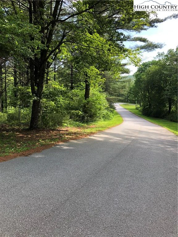 Image number 1 for the current listing